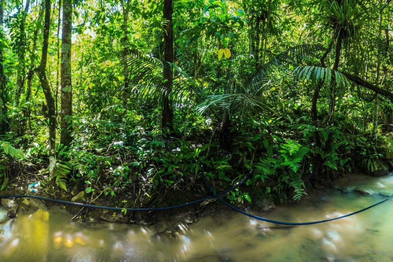 Rest Pause Rainforest Retreat Villa Bentong Buitenkant foto