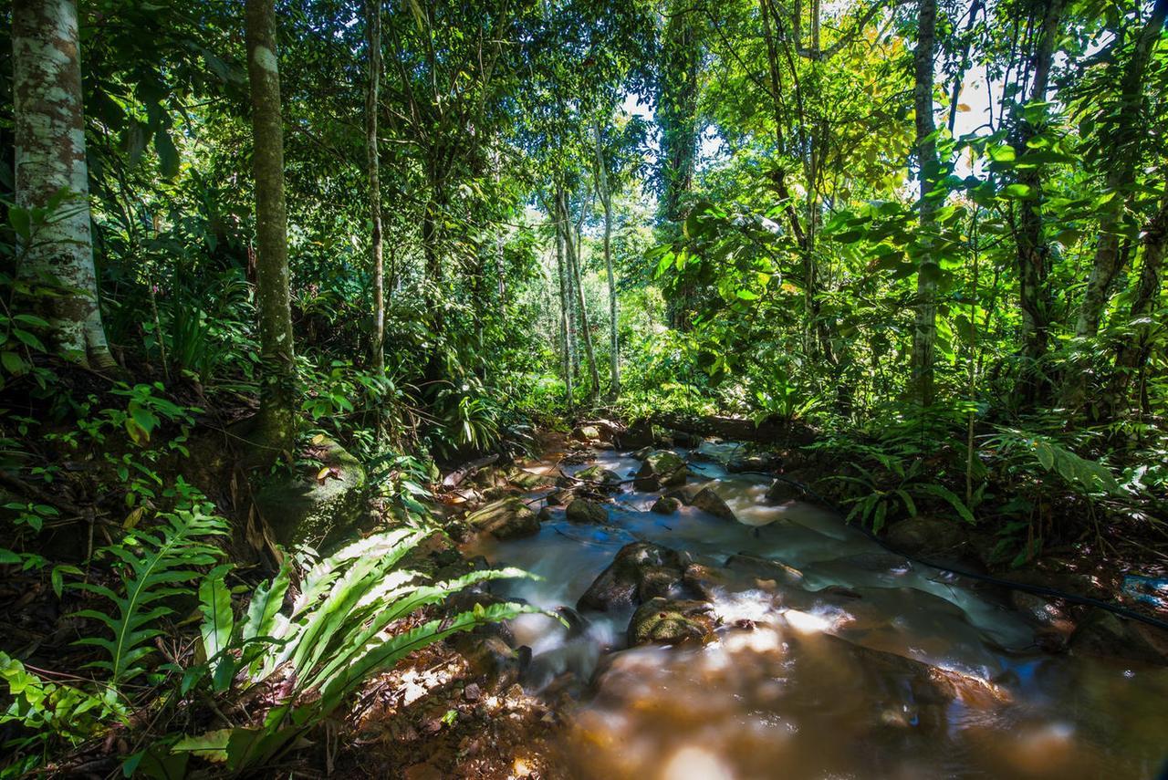 Rest Pause Rainforest Retreat Villa Bentong Buitenkant foto