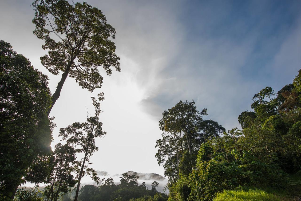 Rest Pause Rainforest Retreat Villa Bentong Buitenkant foto