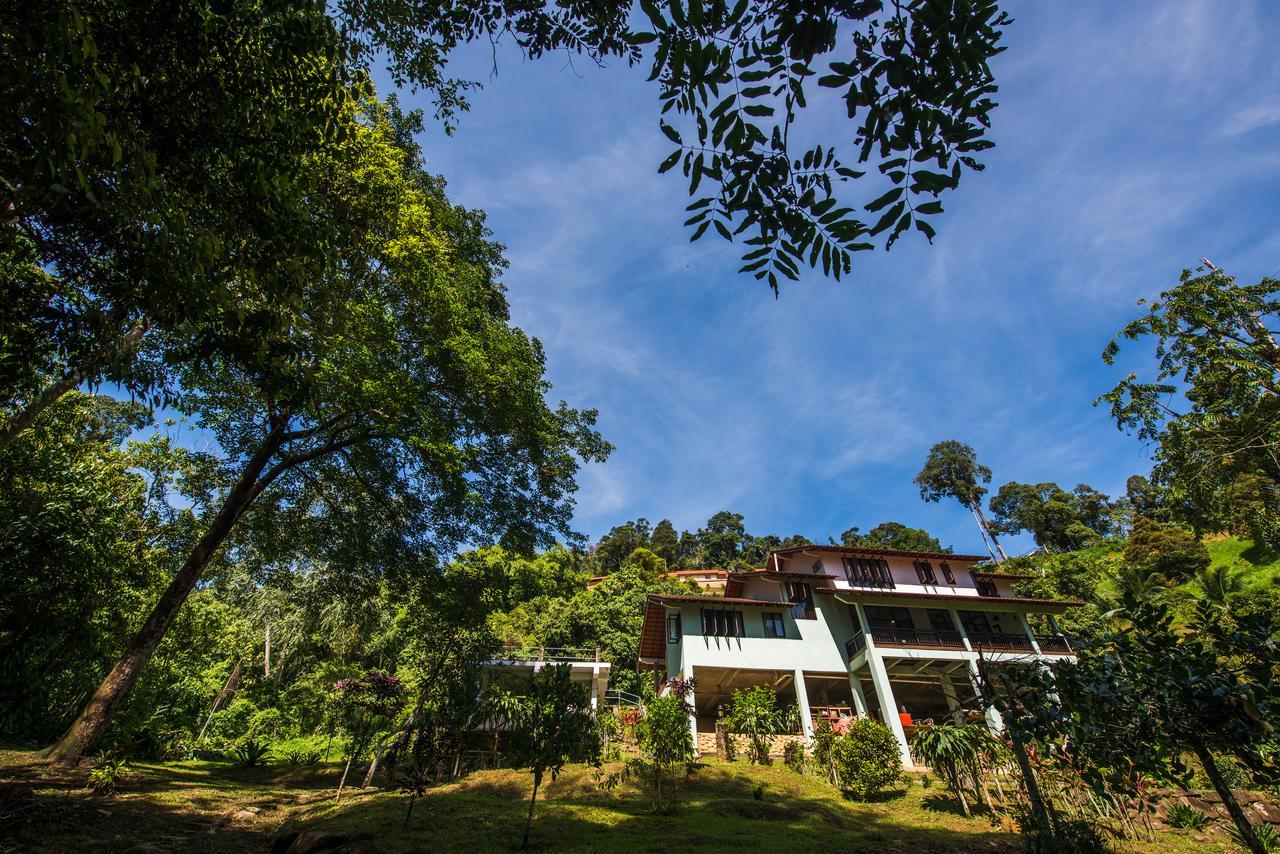 Rest Pause Rainforest Retreat Villa Bentong Buitenkant foto