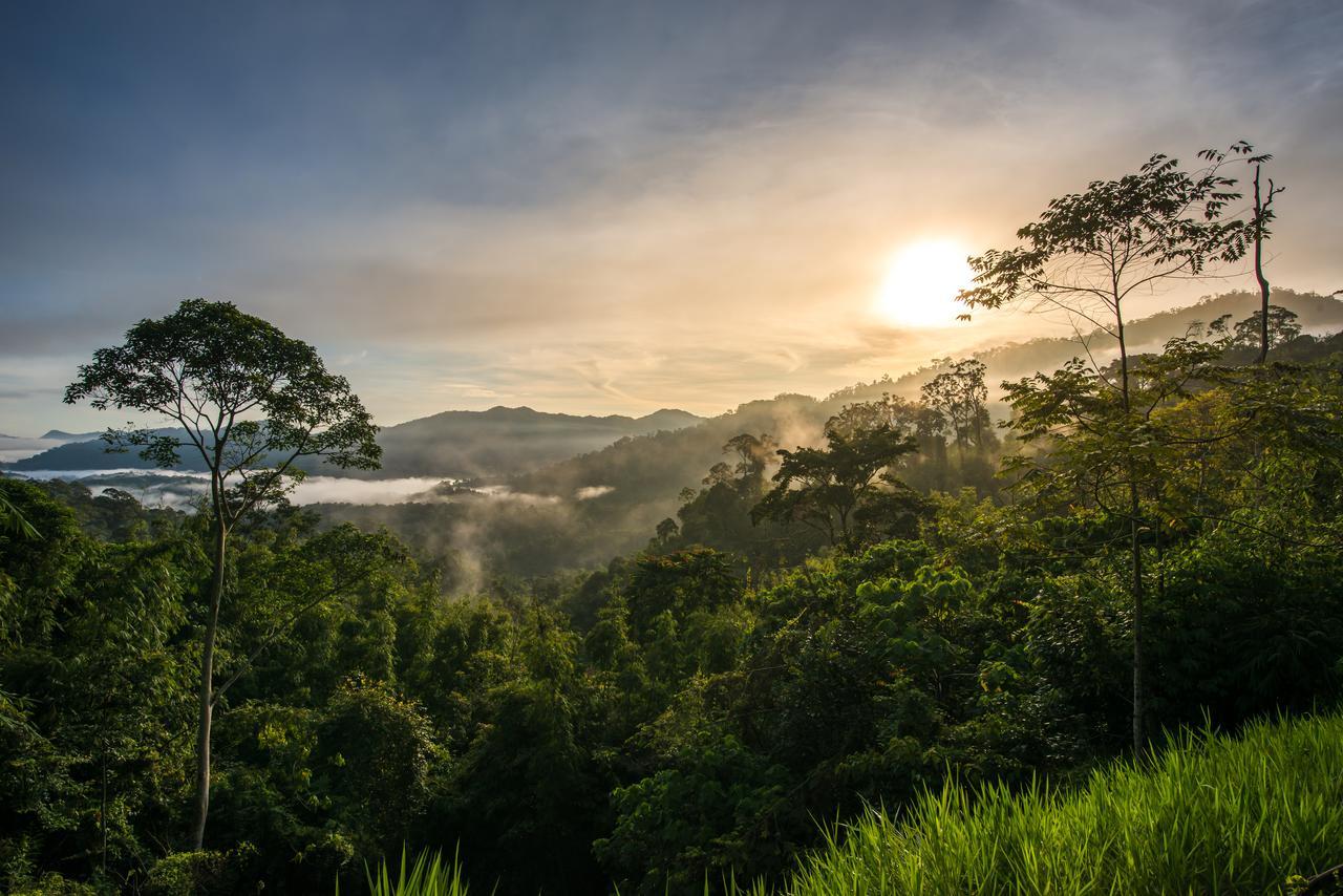 Rest Pause Rainforest Retreat Villa Bentong Buitenkant foto