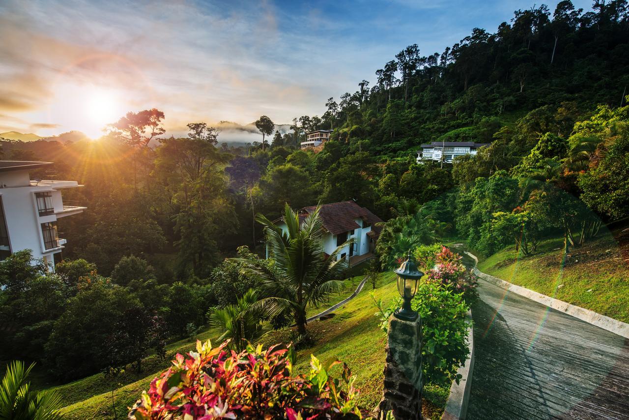 Rest Pause Rainforest Retreat Villa Bentong Buitenkant foto