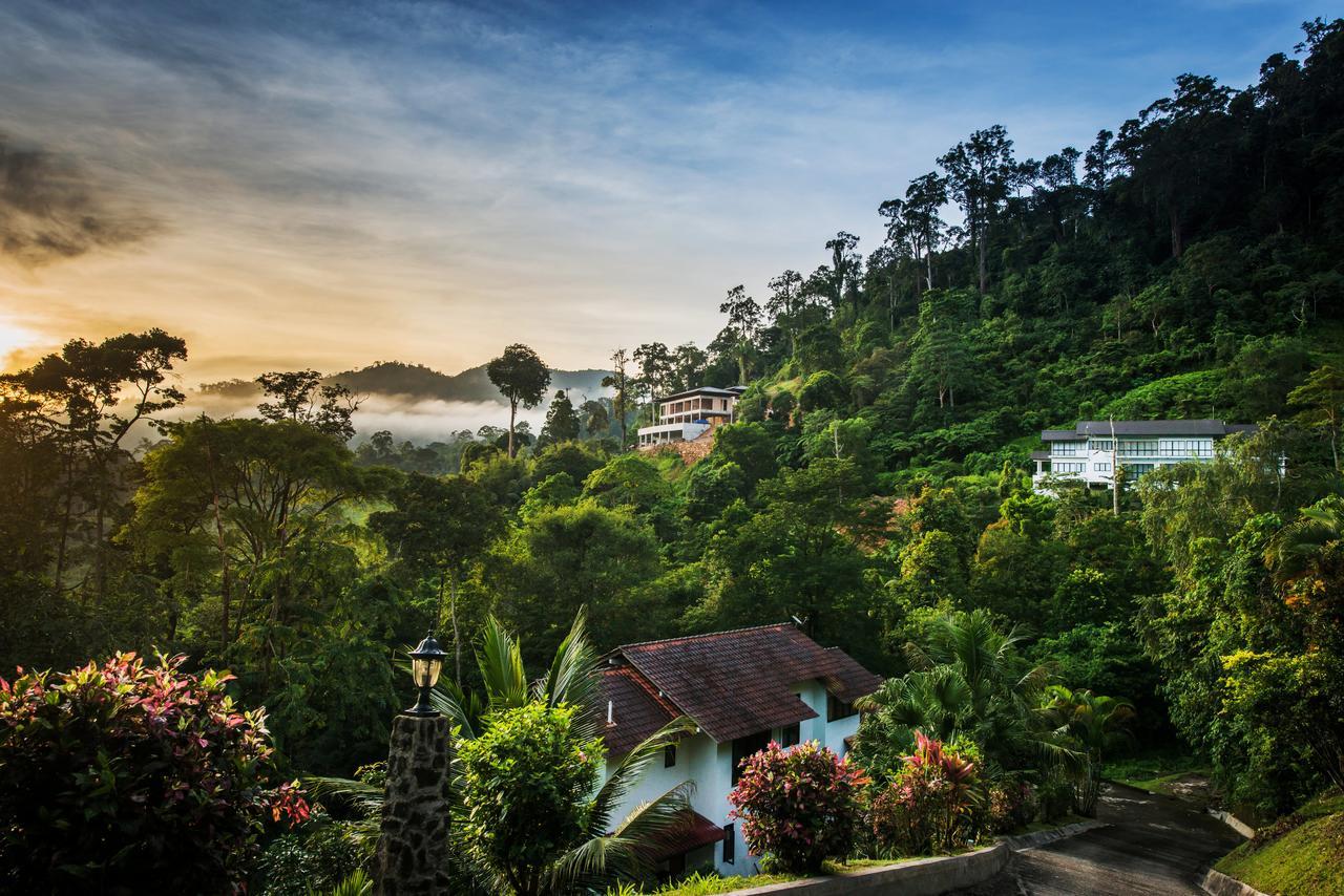 Rest Pause Rainforest Retreat Villa Bentong Buitenkant foto