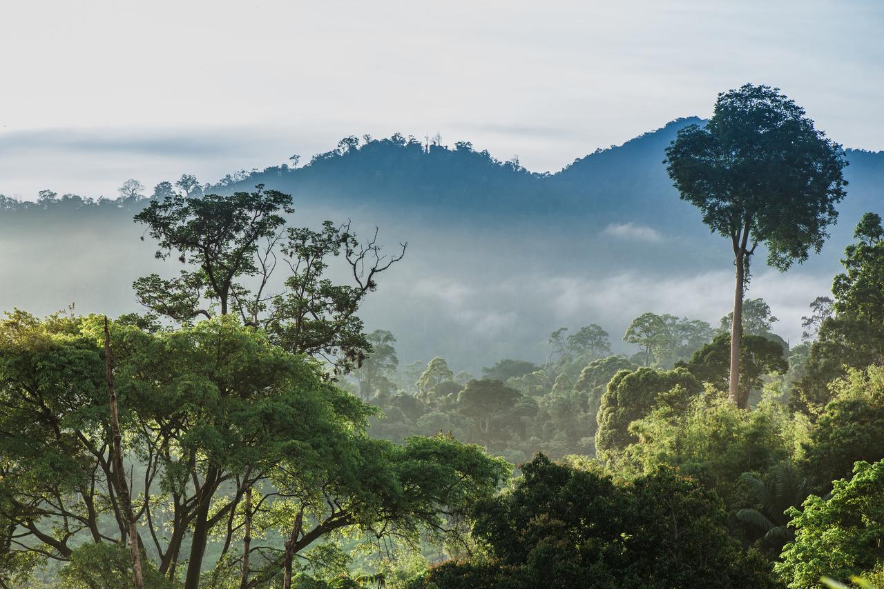 Rest Pause Rainforest Retreat Villa Bentong Buitenkant foto